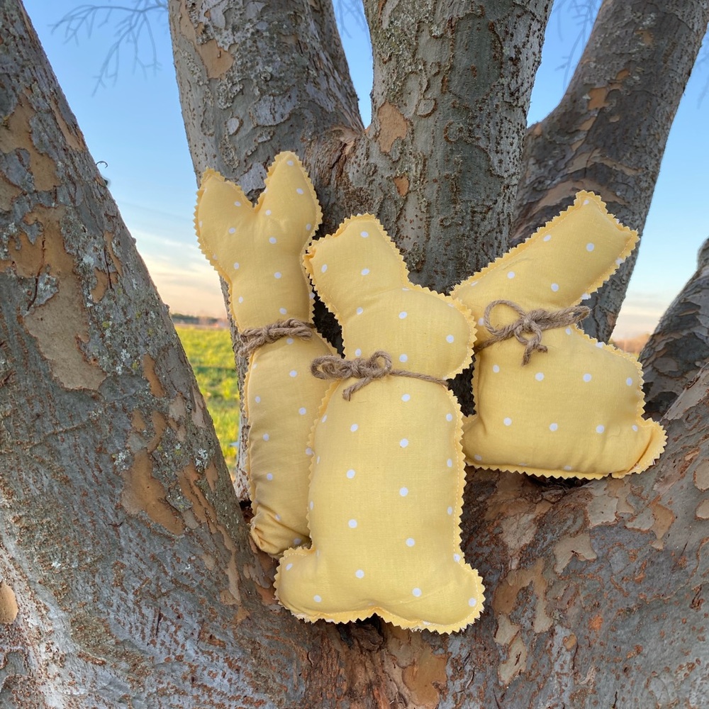 Easter Bunnies Set